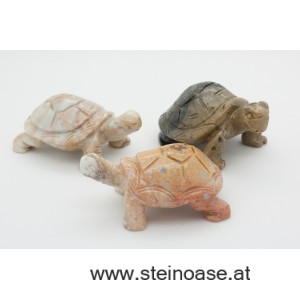 Schildkröte Speckstein Gr.M
